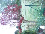 BILD3932.JPG