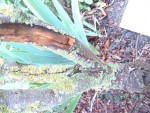 BILD3933.JPG