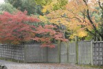 palissade  villa katsura.jpg