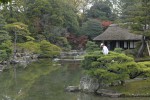 katsura.jpg