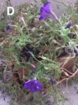 IMG_0648.jpeg