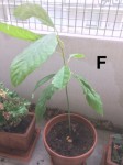 IMG_0651.jpeg