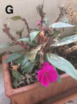IMG_0652.jpeg
