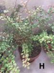 IMG_0653.jpeg