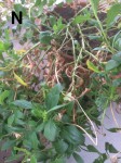 IMG_0665.jpeg