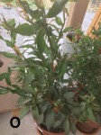 IMG_0667.jpeg