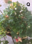 IMG_0670.jpeg