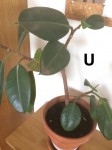 IMG_0676.jpeg