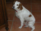 DSCN3223.JPG