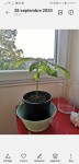 Screenshot_20200928_191739_com.android.gallery3d.jpg