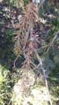 20201102_132815.jpg