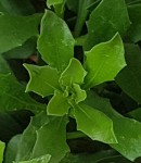 20201107_164127.jpg