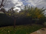 Photos  Muriers Vue 2.jpg