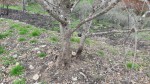 20201104_134157.jpg