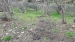 20201104_133849.jpg