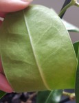 20201114_162418.jpg