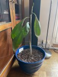 thumbnail_IMG_0016.jpg