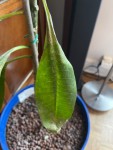 thumbnail_IMG_0017.jpg