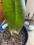thumbnail_IMG_0018.jpg