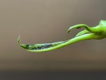 thumbnail_IMG_0020.jpg