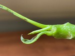 thumbnail_IMG_0021.jpg