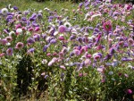DSCN3858.JPG