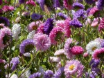 DSCN3866.JPG