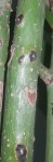 20201121_144730.jpg