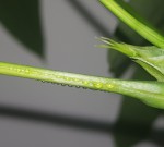 20201121_144918.jpg