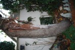 IMG_7094.JPG