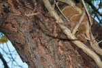 IMG_7087.JPG