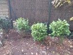 20201111_160701.jpg