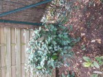 20201111_160716.jpg
