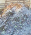 IMG_20201125_093740.jpg