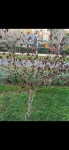 Screenshot_20201126_230953_com.android.gallery3d_resize_11.jpg