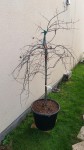 20201123_110131.jpg