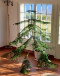 20201128_123038.jpg