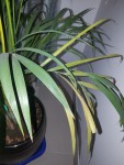 20201202_202805.jpg