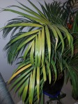 20201202_202816.jpg