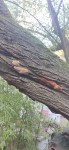 IMG20201204145908.jpg