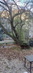 IMG20201204145838.jpg