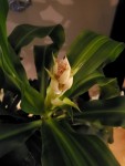 20201130_183558_capture.jpg