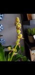 Screenshot_20201206-150923_Gallery.jpg