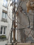 unnamed-2 - copie 2.jpg