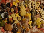 DSC09736.jpg