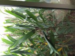 IMG_20201228_153348_compress52.jpg