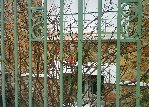 DSC00086_cr.jpg