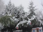 DSC09778.jpeg