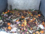 DSC09791.jpg