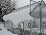 DSC09792.jpg